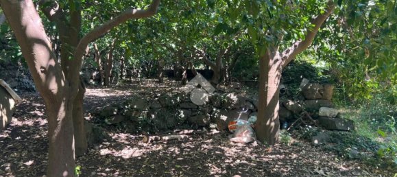  قطعة أرض في Giarre, Italy 6044متر مربع رقم 278113 19
