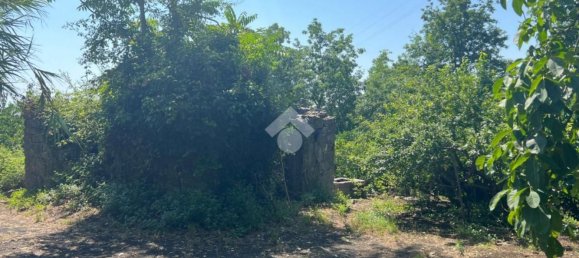  قطعة أرض في Giarre, Italy 6044متر مربع رقم 278113 20