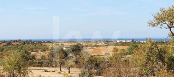 5920m² Land in Silves, Portugal No. 87144 8