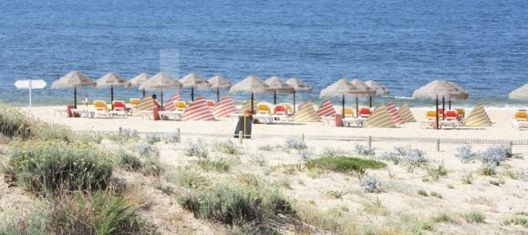 5920m² Land in Silves, Portugal No. 87144 22