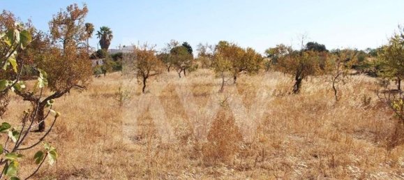 5920m² Land in Silves, Portugal No. 87144 10