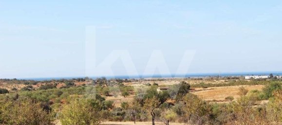 5920m² Land in Silves, Portugal No. 87144 5