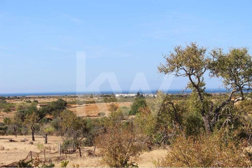 5920m² Land in Silves, Portugal No. 87144