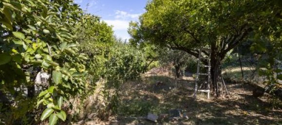 3 chambres Villa à Catanzaro, Italy No. 284525 37