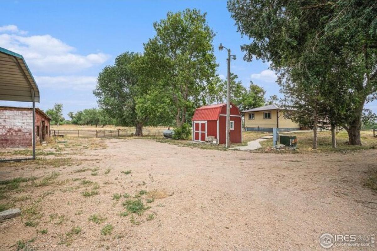 4 bedrooms House in Greeley, USA No. 425024