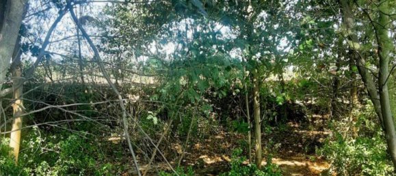 Land for sale in Rayong, Eastern Thailand, Thailand № 82672 5
