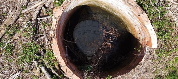 3 chambres Maison à Alvaiazere, Portugal No. 24379 10