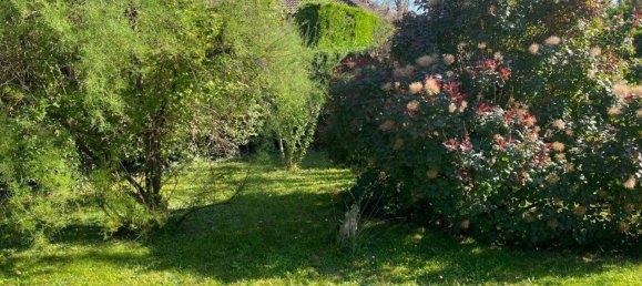 Bungalow de 1 dormitorio en Kottingbrunn, Austria No. 221505 11