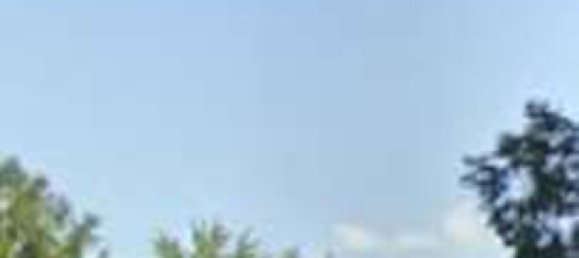 3 rooms Apartment in Ospedaletto Euganeo, Italy No. 301914 11