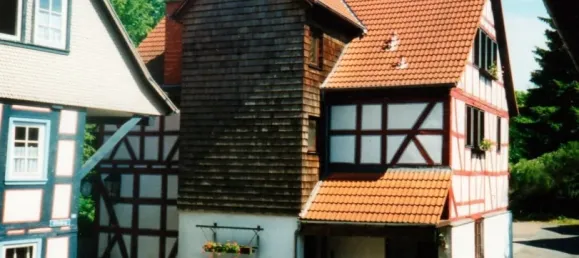 Коммерческая недвижимость с 6 комнатами в Фогельсберг, Германия № 69330 2