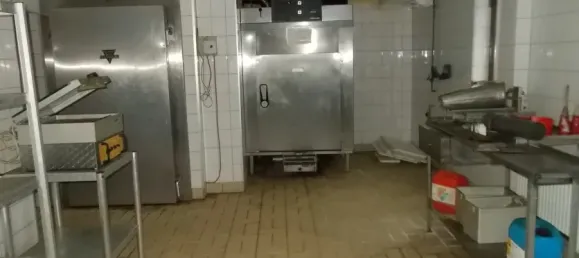 Коммерческая недвижимость с 6 комнатами в Фогельсберг, Германия № 69330 9