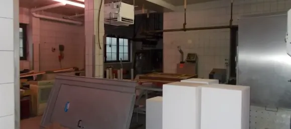 Коммерческая недвижимость с 6 комнатами в Фогельсберг, Германия № 69330 7