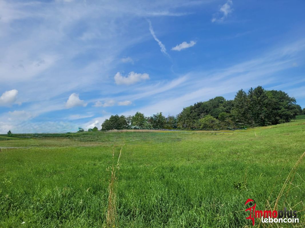 3500m² Land in Hagenthal-le-Bas, France No. 230001