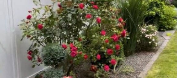 5غرفة بنغالو في Minden-Lubbecke, Germany رقم 120525 12