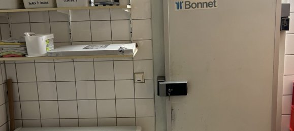 عقار تجاري في Carling, France 270متر مربع رقم 60719 2