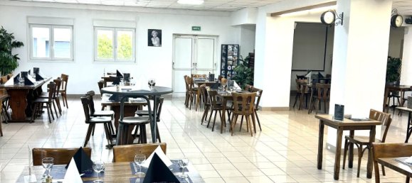 عقار تجاري في Carling, France 270متر مربع رقم 60719 13