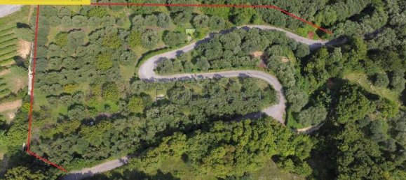 4158m² Land in Verona, Italy No. 290828 2