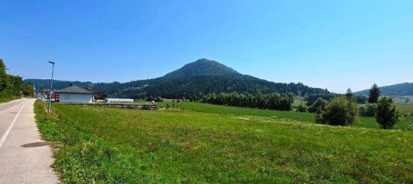 Grundstück in Liebenfels, Austria 4060m², Nr. 248283 3