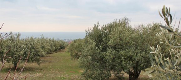  فندق في Dion, Greece 9062متر مربع رقم 4279 3