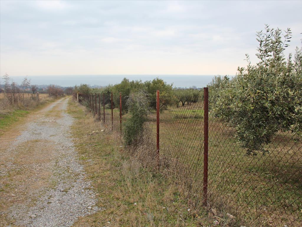  فندق في Dion, Greece 9062متر مربع رقم 4279