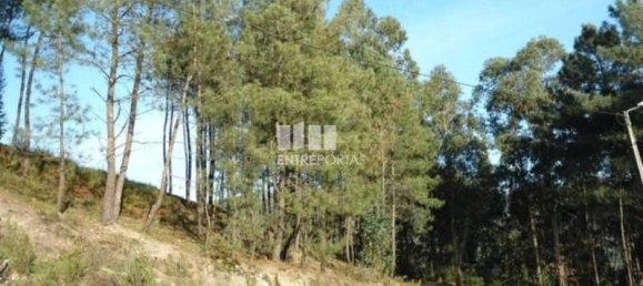 Земельный участок 10000м² в Марку ди Канавезиш, Португалия № 59568 5