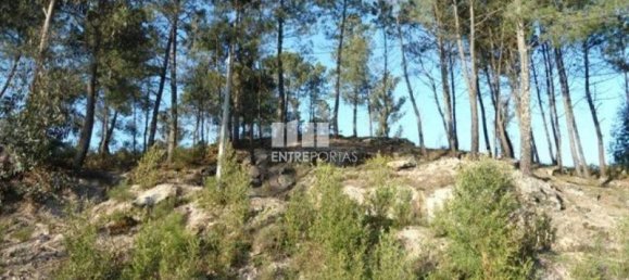 Земельный участок 10000м² в Марку ди Канавезиш, Португалия № 59568 3