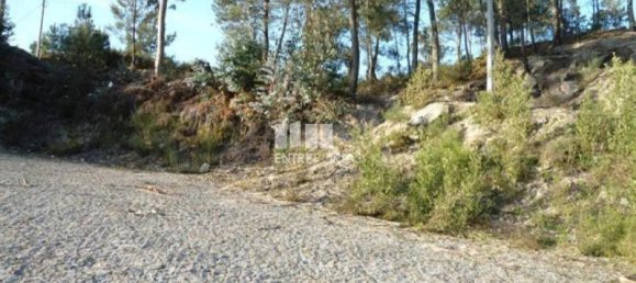 Земельный участок 10000м² в Марку ди Канавезиш, Португалия № 59568 2