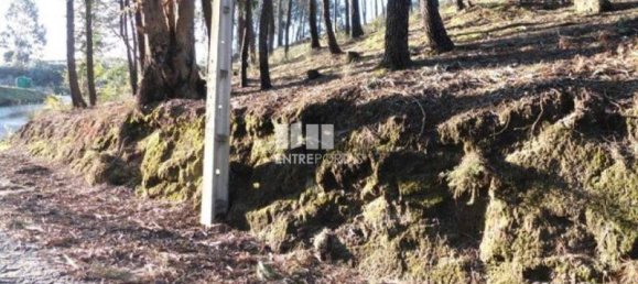 Земельный участок 10000м² в Марку ди Канавезиш, Португалия № 59568 4