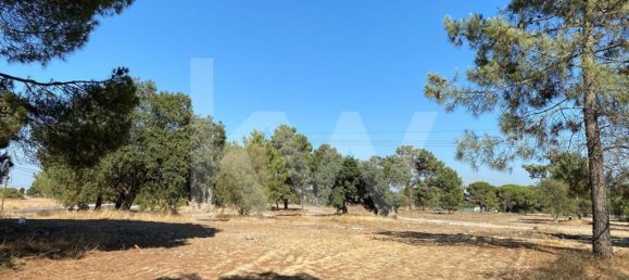 Terreno en Moita, Portugal No. 71609 10