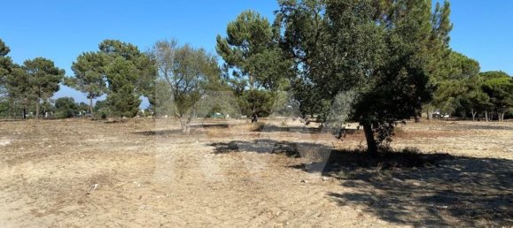 Terreno en Moita, Portugal No. 71609 6