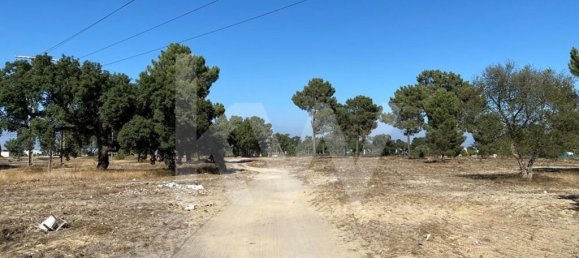 Terreno en Moita, Portugal No. 71609 7