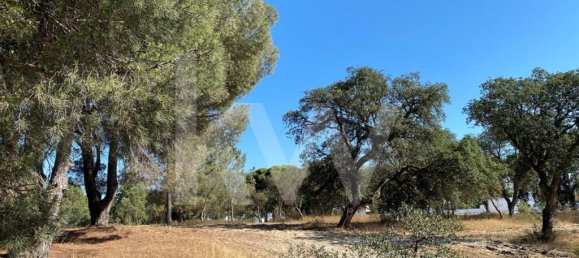 Terreno en Moita, Portugal No. 71609 12