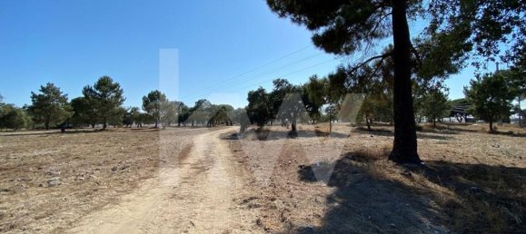 Terreno en Moita, Portugal No. 71609 4