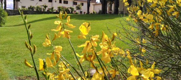 9 rooms Villa in Scarperia e San Piero, Italy No. 118495 24