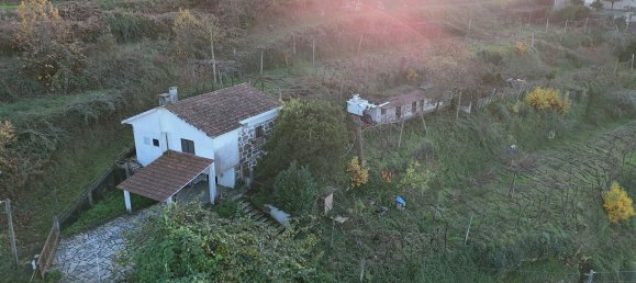 استوديو في Felgueiras, Portugal رقم 19231 14