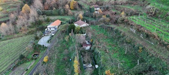 استوديو في Felgueiras, Portugal رقم 19231 12