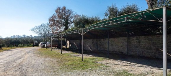 27 rooms House in Tuoro sul Trasimeno, Italy No. 54185 49