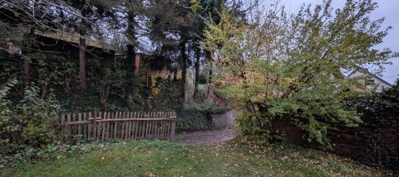  Land in Wartburgkreis, Germany No. 47822 4