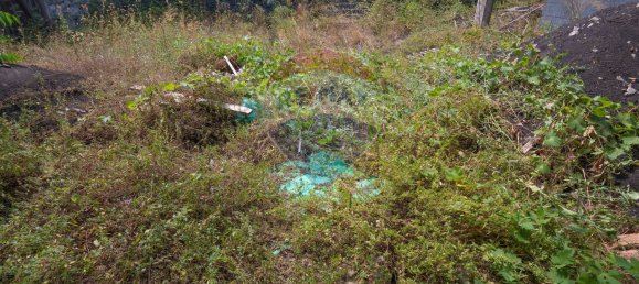 12-Zimmer Villa in Zafferana Etnea, Italy, Nr. 133594 34