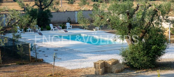 6 bedrooms House in Torchiarolo, Italy No. 61293 7