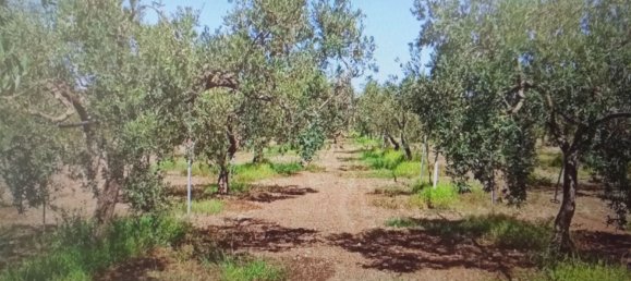 Terreno em Campobello di Mazara, Italy 10000 m² N.º 255710 3