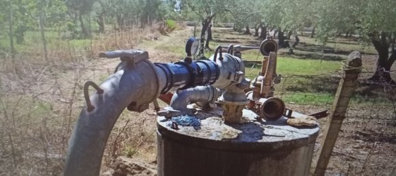 Terreno em Campobello di Mazara, Italy 10000 m² N.º 255710 2