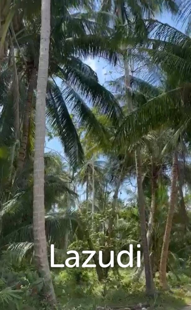  Commercial property in Surat Thani, Thailand No. 24903