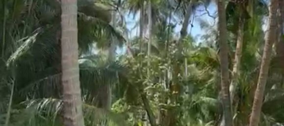  Commercial property in Surat Thani, Thailand No. 24903 4