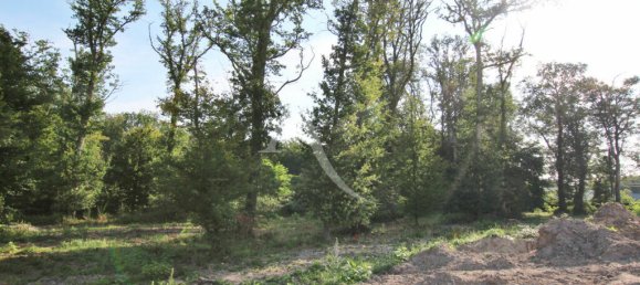 Terrain à Cellettes, France No. 235128 3