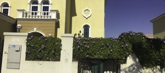 3 Schlafzimmer Villa in Jumeirah Park, UAE, Nr. 4066 7