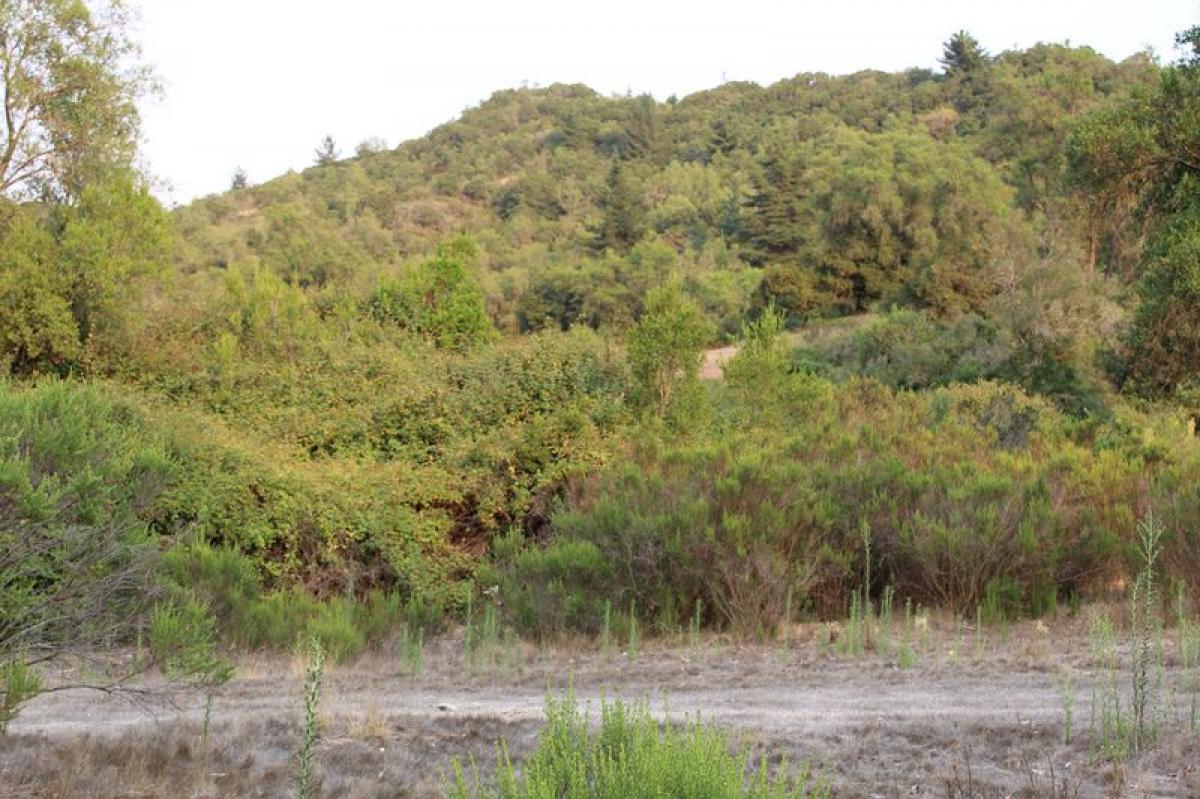 Terreno en Valparaíso, Chile No. 1352