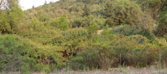 Terreno en Valparaíso, Chile No. 1352 2