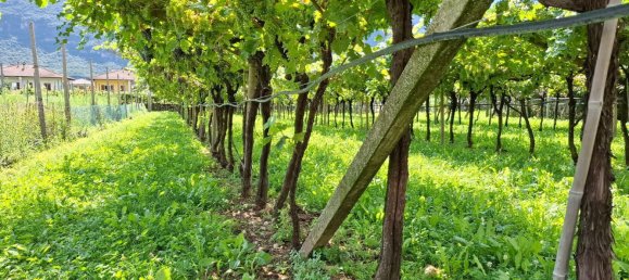 6 rooms House in Avio, Italy No. 263885 7