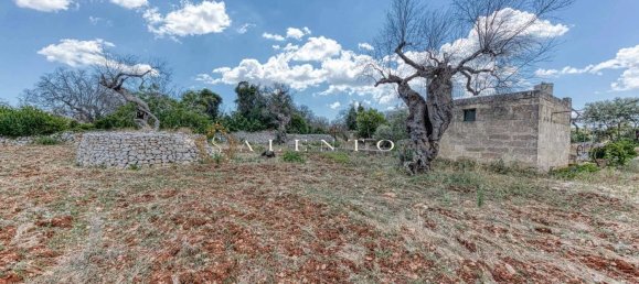  قطعة أرض في Morciano di Leuca, Italy 10834متر مربع رقم 67129 9